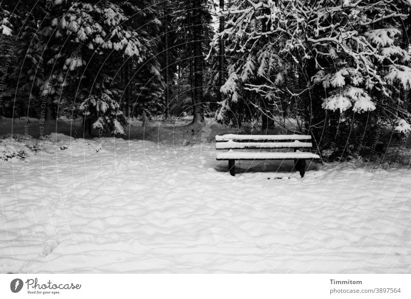 Eine schneebedeckte Sitzbank lädt zum Verweilen ein Winter Schnee Wald Bäume Schwarzwald Natur kalt weiß schwarz Schwarzweißfoto Menschenleer Weg Spuren