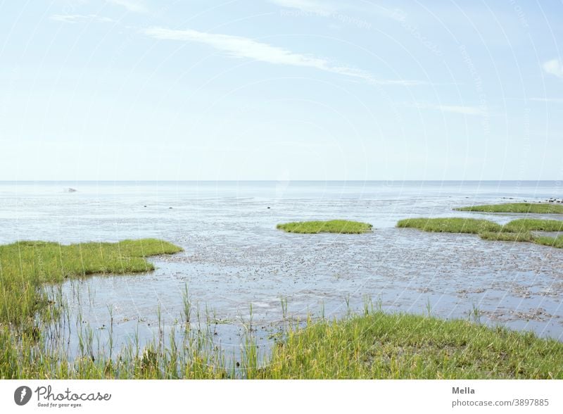 Zu neuen Ufern Meer ufer uferzone neue ufer auf zu neuen ufern Landschaft Natur Küste Wasser