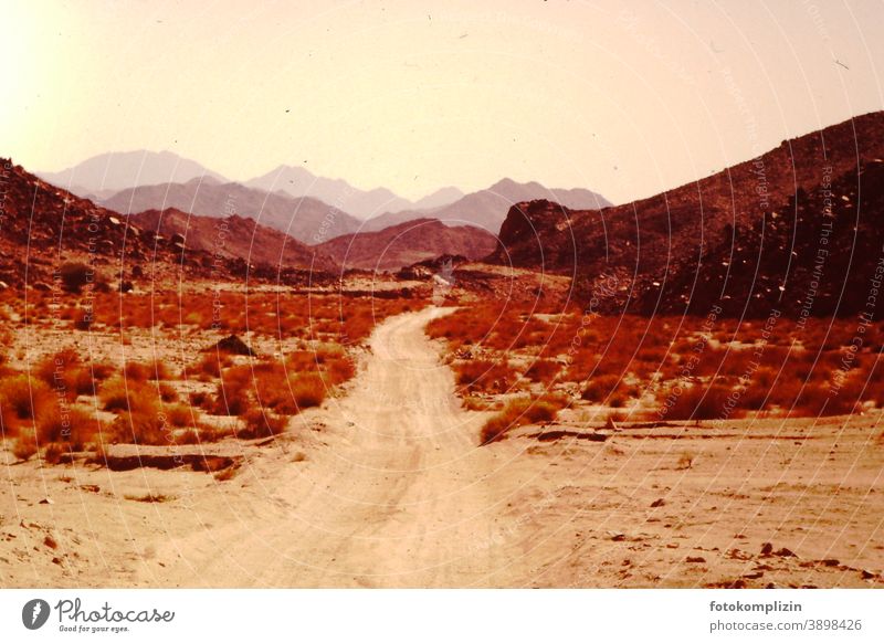 Wüstenweg Menschenleer Sand Natur Wüstenberge Sahara Ferne Landschaft im Freien Wege & Pfade warm Ruhe Nostalgie Stille Außenaufnahme sehnsucht Piste