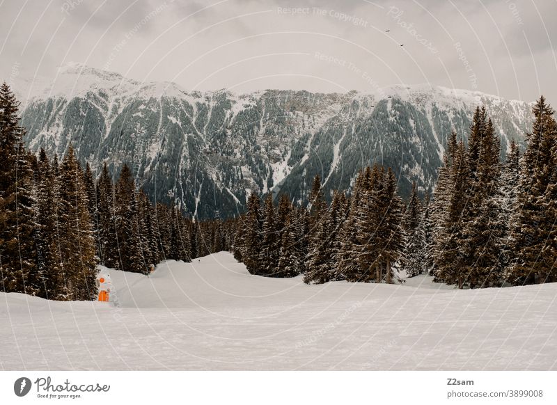 Südtiroler Skigebiet | Ratschings Erholung südtirol italienisch Bäume Natur Skifahren snowboarden Wintersport Landschaft Winterlandschaft Kälte Schafe Sport