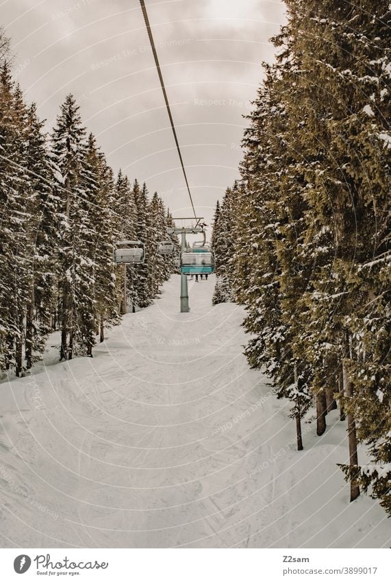 Sessellift in einem Skigebiet Erholung südtirol italienisch Österreich Bäume Natur sessellift heben Skifahren snowboarden Wintersport Landschaft