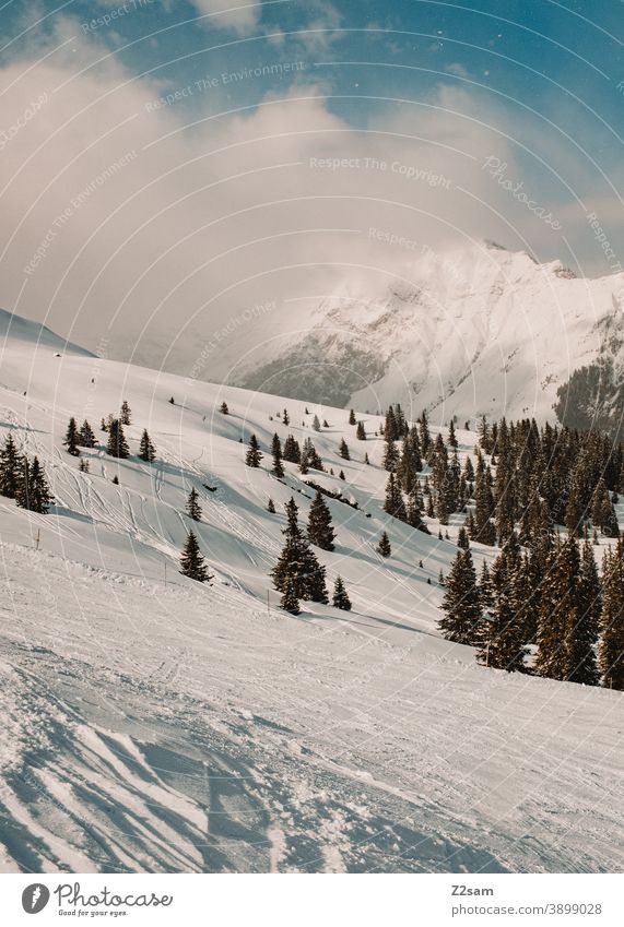 Winterlandschaft im Südtiroler Ratschings ratschings Bäume Wald Schafe skipiste Berge alpenländisch Wintersport südtirol Urlaub italienisch Landschaft Ferien