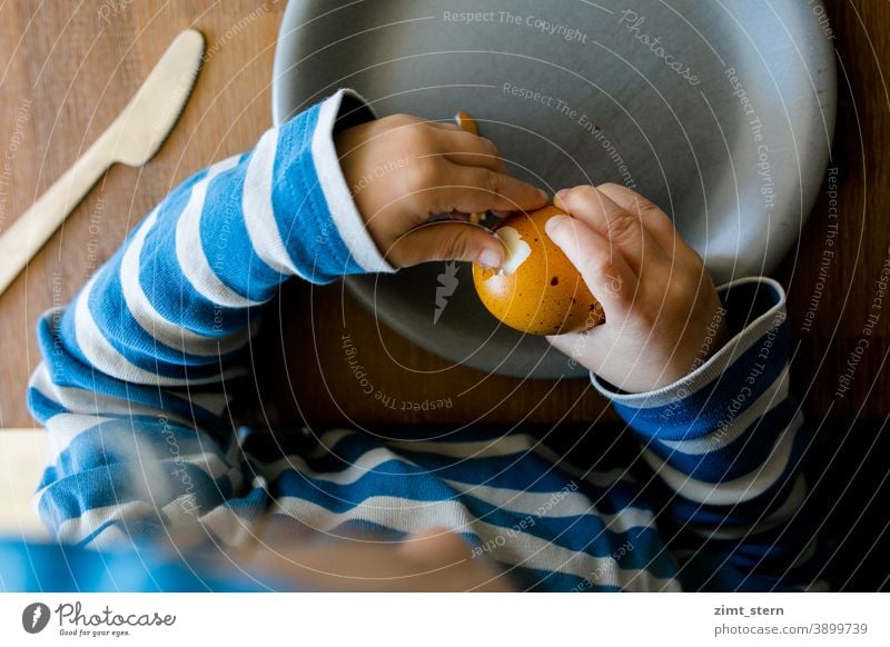 Kind mit buntem Osterei Ostern Ei Komplementärfarbe komplementär gelb blau kind kindheit kleine Hände essen Frühstück bio öko nachhaltig mäkelig mehrfarbig