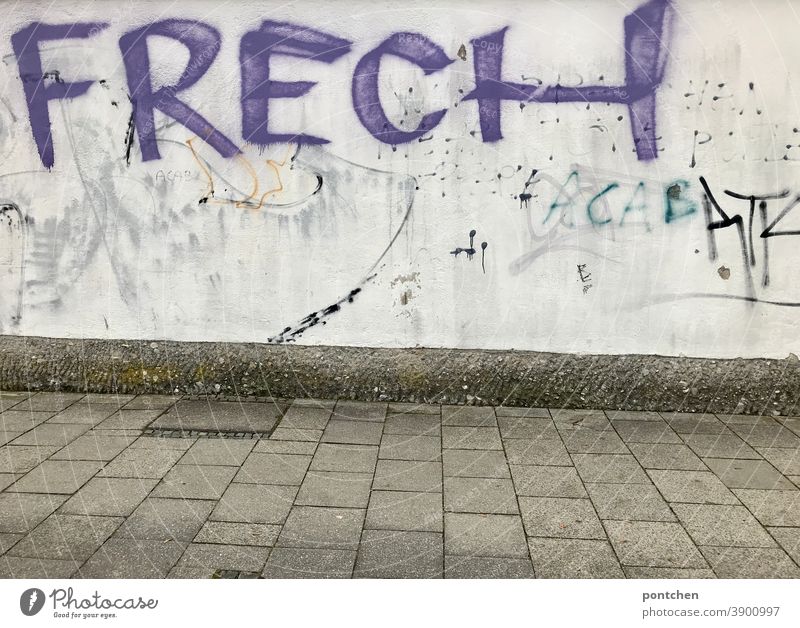 Das Wort frech steht in lila als Graffiti auf einer dreckigen Mauer wort urban mauer Schmiererei Schriftzeichen Jigendkultur Buchstaben Text Illegal