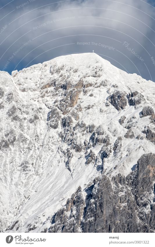 Schneebedeckte Scheichenspitze Schneebedeckte Gipfel Felsen Alpen Winter Natur Berge u. Gebirge Schönes Wetter außergewöhnlich natürlich Erfolg elegant