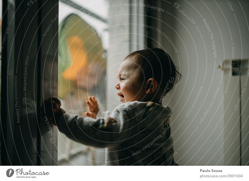 Kleinkind weint am Fenster Kleinkindheit Kind Kindheit zu Hause Quarantäne Kaukasier zu Hause bleiben heimwärts Lifestyle Familie & Verwandtschaft Coronavirus