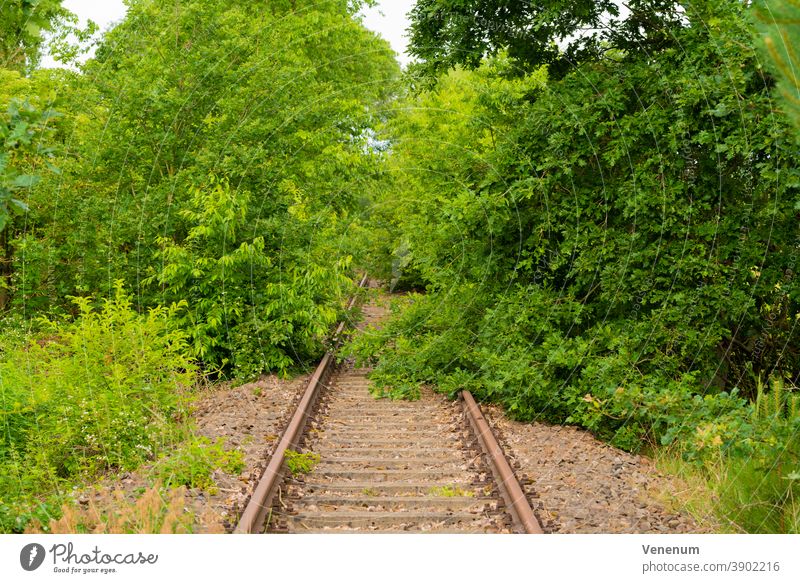 Alte Eisenbahnstrecke in Deutschland Bahn Gleisbett Schienen Eisenbahnschwellen Wald Wälder Baum Bäume