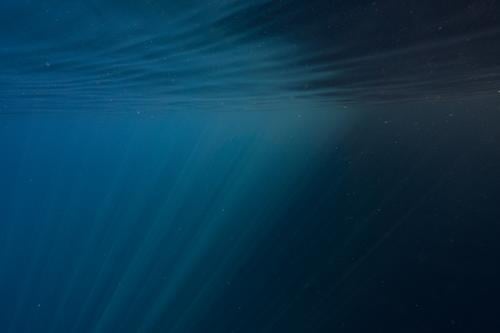 Sonnenstrahlen im Wasser Unterwasseraufnahme Lichterspiel blau tauchen Meer tief Ferien & Urlaub & Reisen