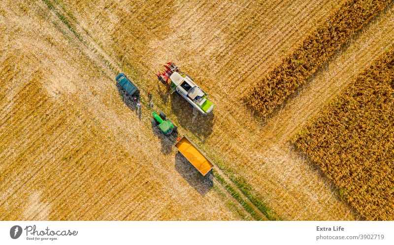 Obige Ansicht eines Mähdreschers, der frisch geerntetes Getreide zum Transport in einen Anhänger umlädt. oben Antenne landwirtschaftlich Ackerbau Ladung Müsli