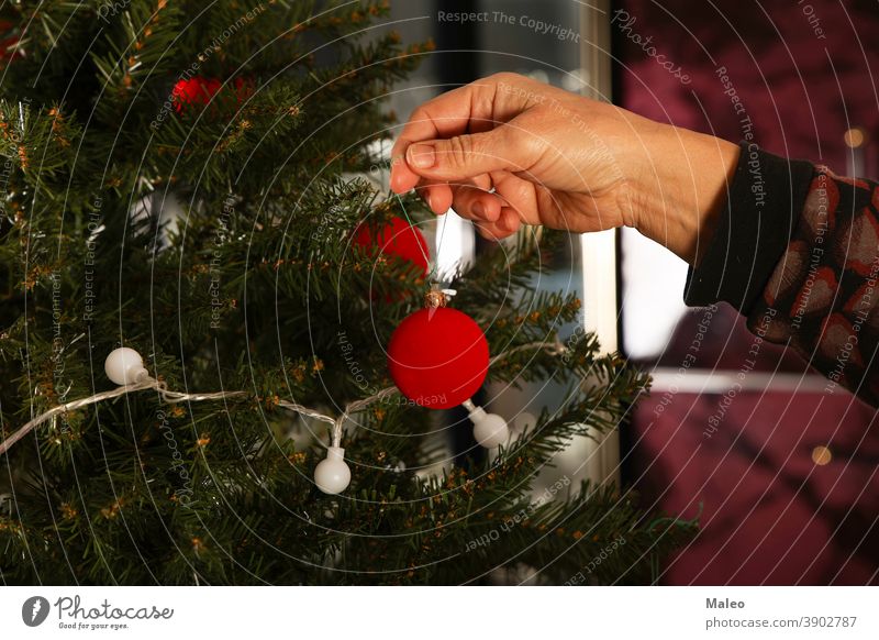 Schöne rote Kugeln werden am Weihnachtsbaum aufgehängt dekorierend heimwärts Tradition golden Hand Hintergrund Ball schön schwarz Bokeh hell feiern Feier