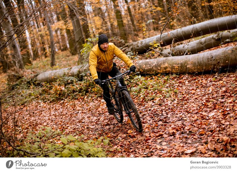 Junger Mann radelt durch den Herbstwald Wald Fahrrad Natur Zyklus Mitfahrgelegenheit Radfahrer Biker Radfahren Lifestyle im Freien Sport Übung Nachlauf