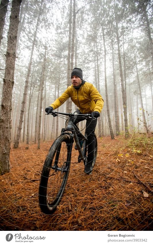 Junger Mann radelt durch den Herbstwald Wald Fahrrad Natur Zyklus Mitfahrgelegenheit Radfahrer Biker Radfahren Lifestyle im Freien Sport Übung Nachlauf