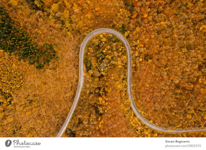 Luftaufnahme der Herbst-Waldstraße Antenne im Freien schön Ansicht Natur Landschaft Bäume natürlich reisen Straße grün Dröhnen oben fallen Laubwerk Flug