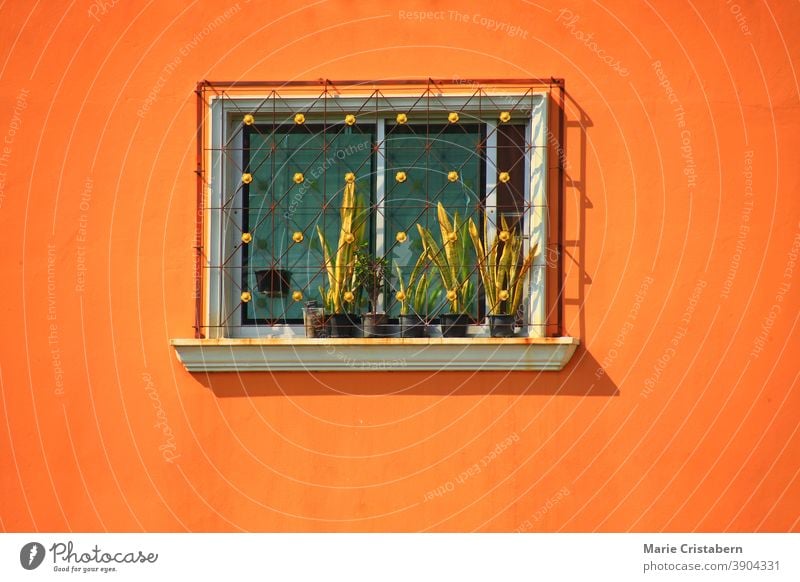 Minimalistisches Foto eines Fensters an einer orangefarbenen Wand minimalistische Architektur Fenster an orangefarbener Wand orangefarbene Wand
