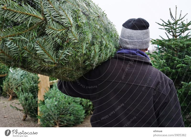 Ein Mann trägt zwischen gefällten und aufgestellten Tannen hindurch einen Weihnachtsbaum im Netz auf den Schultern und entfernt sich / systemrelevant / Weihnachtsbaumkauf