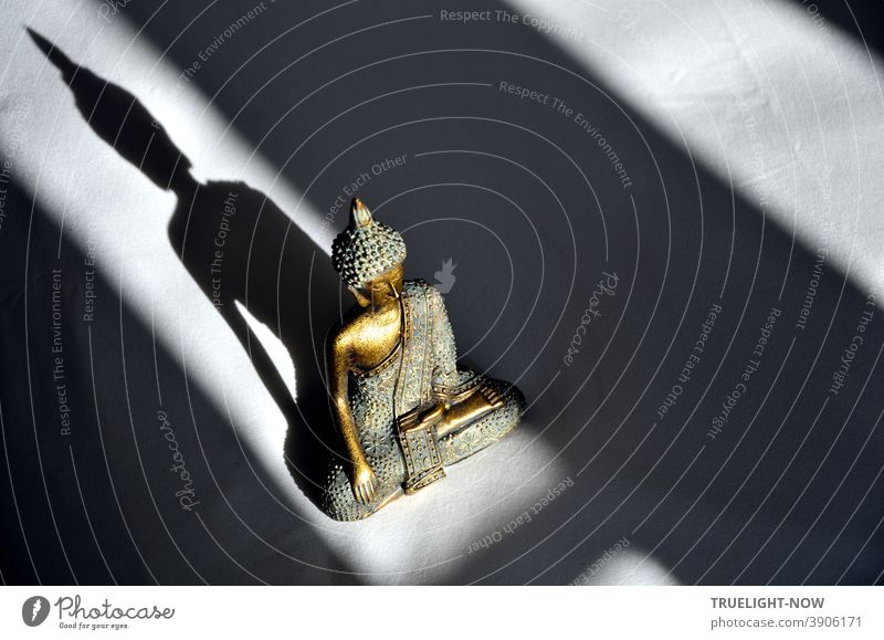 Auch von oben herab betrachtet macht Little Buddha im Spiel von  Sonnenlicht und Schatten einen guten Eindruck Skulptur Gold Bronze türkis leuchten glänzen