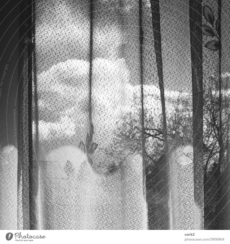 Karges Leben Faltenwurf netzartig beweglich durchscheinend dünn Lichteinfall Alltagsfotografie Nahaufnahme Häusliches Leben Schönes Wetter leuchten Stillleben