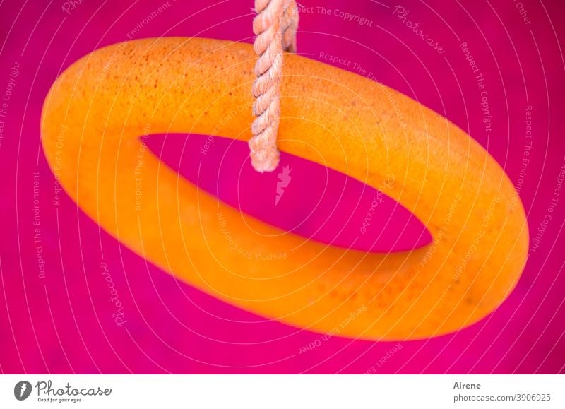 mutig Ring Rettungsring grell orange Knallfarben pink neonpink neonorange Kontrast disharmonisch aufgehängt Schnur hängen Seil Kordel Plastikring Schwimmreifen
