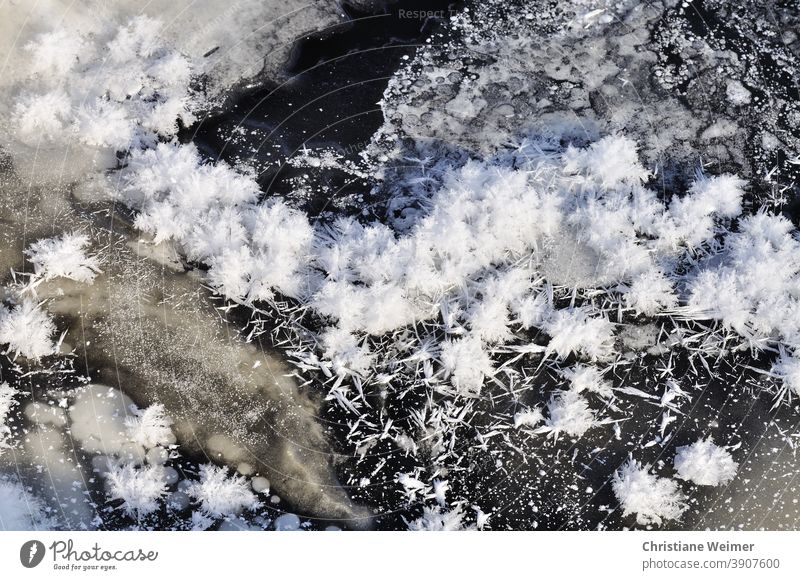 Eis- und Schneekristalle Eiskristalle Winter Jahreszeiten Frost Kälte Eisfläche kalt gefroren Außenaufnahme Natur frieren Menschenleer Raureif weiß Nahaufnahme