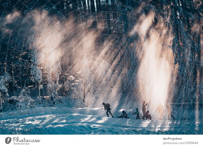Menschen mit Schlitten im Gegenlicht im Harz Joerg Farys Nationalpark Naturschutz Niedersachsen Winter harz naturerlebnis naturschutzgebiet naturwunder