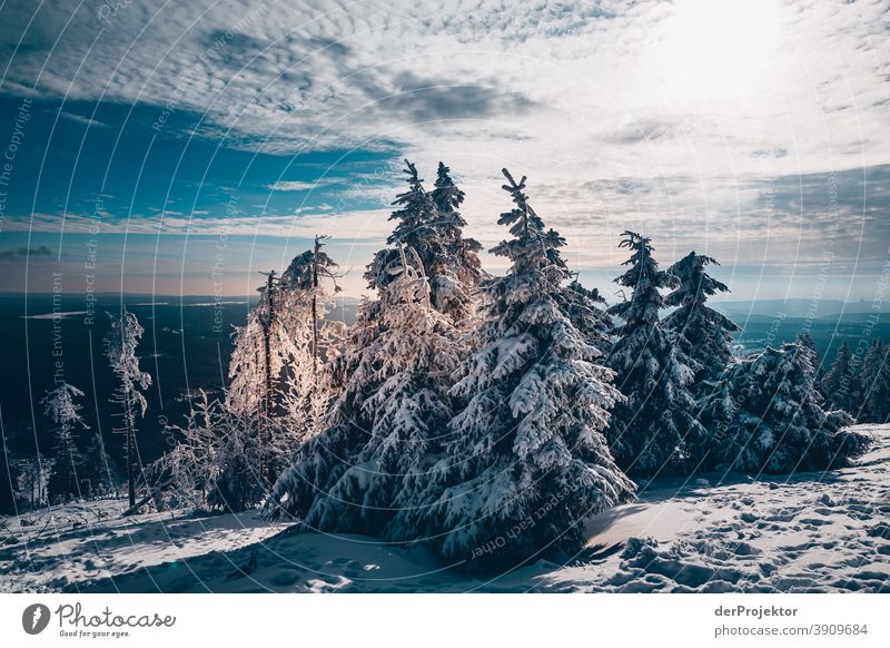 Schneebedeckte Nadelbäume mit Sonne im Harz Joerg Farys Nationalpark Naturschutz Niedersachsen Winter harz naturerlebnis naturschutzgebiet naturwunder