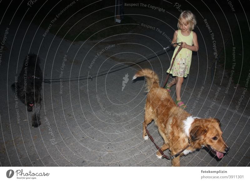 kleine Hundeführerin Mädchen Kindererziehung Hundeerziehung Hundeleine Haustier Tierliebe führen Gassi gehen Spaziergang Freundschaft Hundeliebe Zusammensein