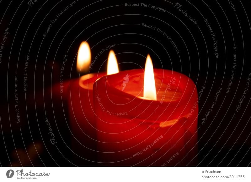 Drei rote Kerzen in einer Reihe Kerzenschein Licht Weihnachten & Advent Flamme brennen Kerzendocht Wachs Beleuchtung Stimmung Romantik Dekoration & Verzierung