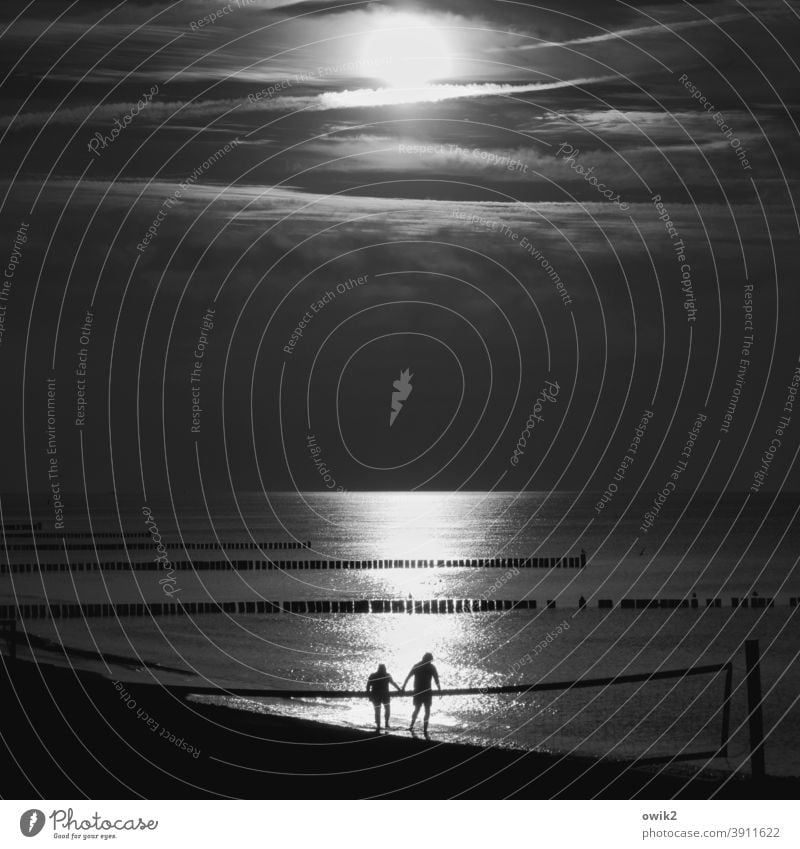 Komm jetzt! Strand Ostsee Wasser Sonnenlicht Reflexion & Spiegelung Lichterscheinung Silhouette Menschen Paar zwei Mann und Frau Spaziergang Hand in Hand
