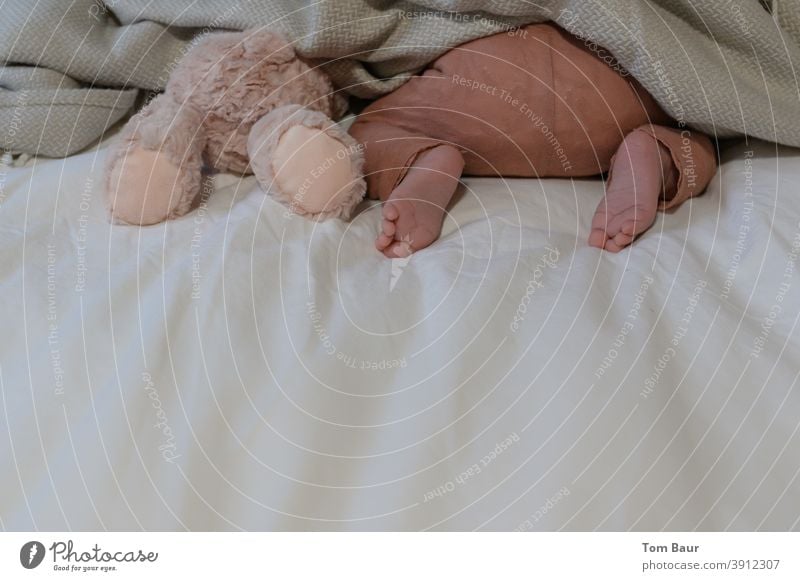 Wir spielen verstecken - Baby steckt neben einem Teddybär mit dem Kopf unter der Bettdecke es ist nur der Po und die nackten Füsslein zu sehen Babyfüße