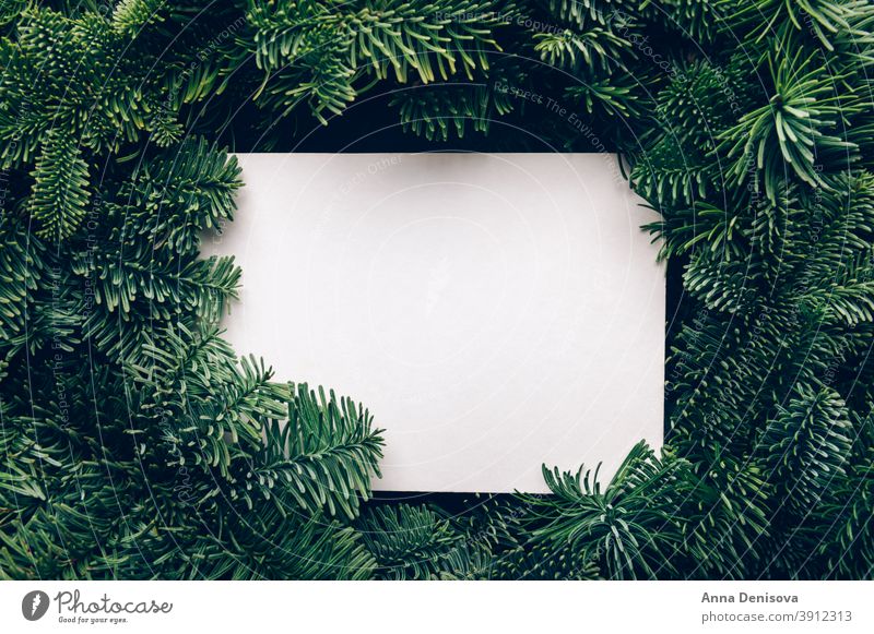 Rahmen aus Xmas-Baumzweigen mit Mock-up Weihnachten Postkarte kreativ Ast Hintergrund Dekoration & Verzierung Feiertag sehr wenige Winter grün weiß Stilrichtung