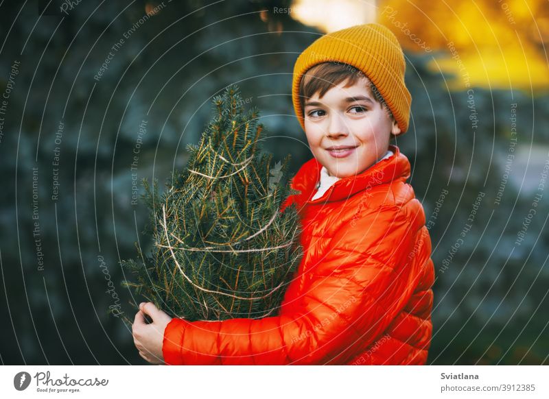 Ein Junge in leuchtend oranger Jacke und gelber Mütze hält einen gekauften Weihnachtsbaum in den Händen, lächelt und schaut in die Ferne. Einkaufen für die Feiertage. Vorbereitungen für Weihnachten, Neujahr