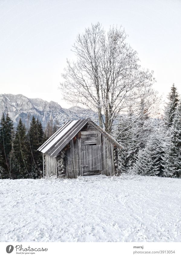 Leicht angeschneite Holzhütte mit Baum. Schnee im Vordergrund, Berge und Wald im Hintergrund. Morgenfrost kalt außergewöhnlich Heustadel Hütte Frost Eis Herbst