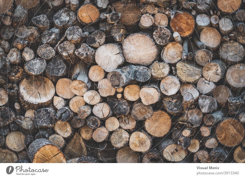 Detail von gestapelten Holzscheiten, die für die Verwendung als Brennholz vorbereitet sind Totholz Stapel Landschaft rustikal Holzstapel Ressource Textur