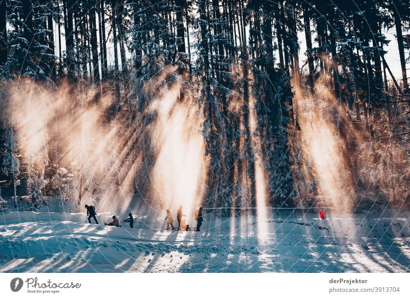 Menschen mit Schlitten im Gegenlicht im Harz II Joerg Farys Nationalpark Naturschutz Niedersachsen Winter harz naturerlebnis naturschutzgebiet naturwunder