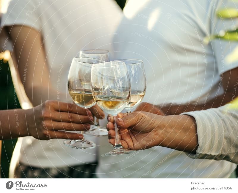 Weingläser in den Händen eine Brille klirren CHIN-CHIN unkenntlich vier Menschen Weinglas Freunde weiß Glas trinken Feier Getränk alkoholisch Termin & Datum