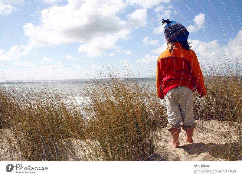 Aussichtsposten Strand Landschaft Stranddüne Erholung Natur Sommerurlaub Freiheit Ausflug Abenteuer Ferne Pflanze ruhig Wetter Umwelt natürlich entdecken Düne