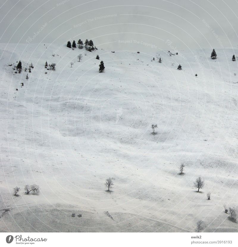 Lichter Wald Karpaten Osteuropa Rumänien Berge u. Gebirge Schnee Himmel Landschaft Natur Umwelt Ferne Wolken Winter Frost Eis Baum Winterstimmung
