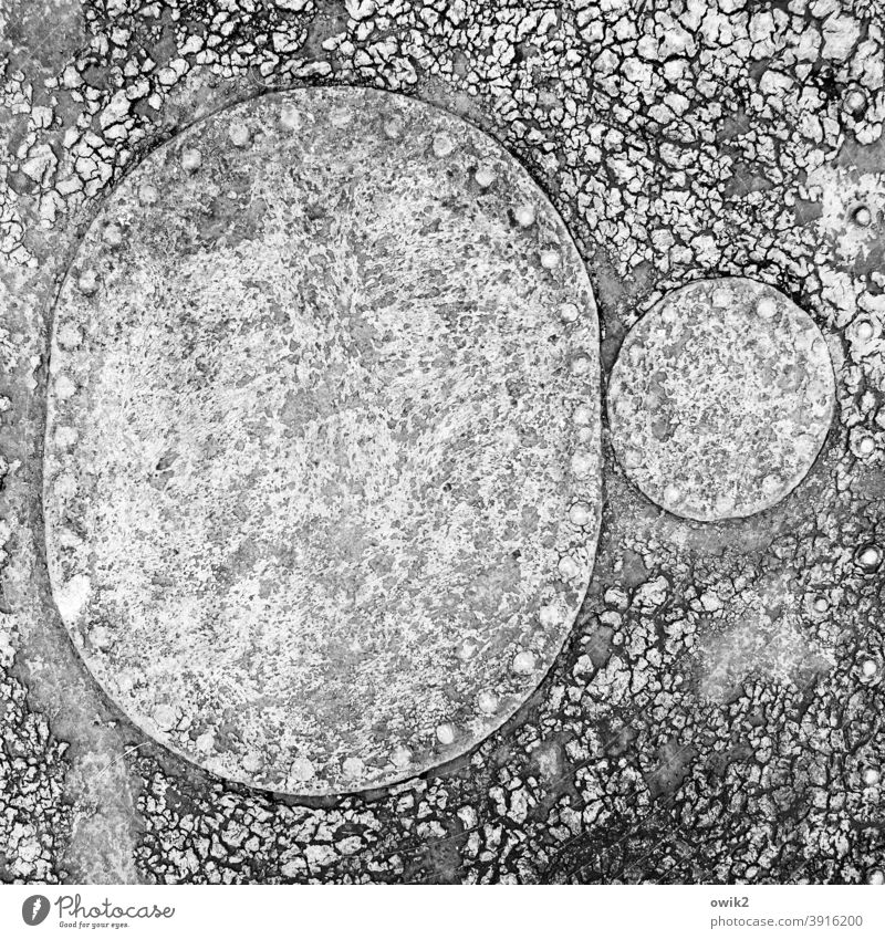 Mitochondrien Gummi Matte Blase Kreis oval bizarr unten trashig kaputt defekt abgenutzt Fußmatte Ähnlichkeit Mikroorganismen Strukturen & Formen Detailaufnahme
