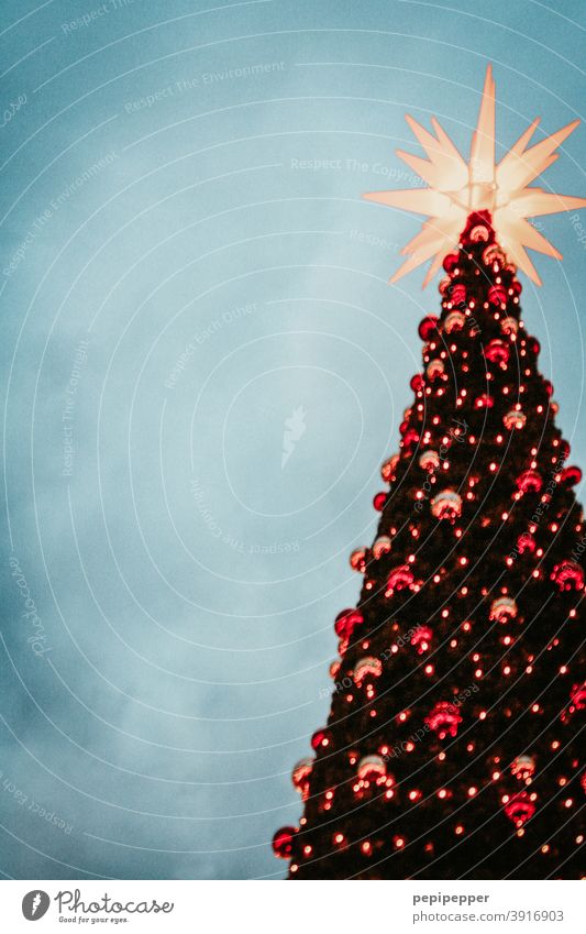 Weihnachtsbaum mit Weihnachtsstern und Weihnachtskugeln Weihnachten & Advent Weihnachtsdekoration Dekoration & Verzierung Feste & Feiern Stern (Symbol) glänzend