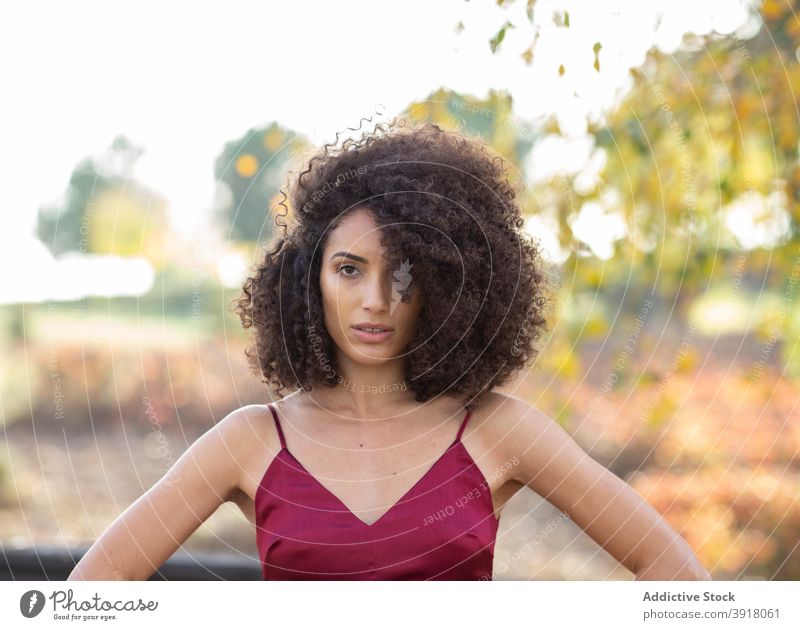 Schwarze Frau mit lockigem Haar schaut in die Kamera im Park Afro-Look Frisur Model Bestimmen Sie Vorschein charmant ernst Herbst ethnisch schwarz