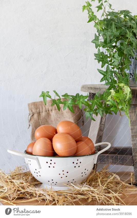Braune Eier in Schüssel auf Küchentisch braun Haufen Lebensmittel Mahlzeit Bestandteil Koch Ernährung Ostern natürlich kulinarisch frisch organisch vorbereiten