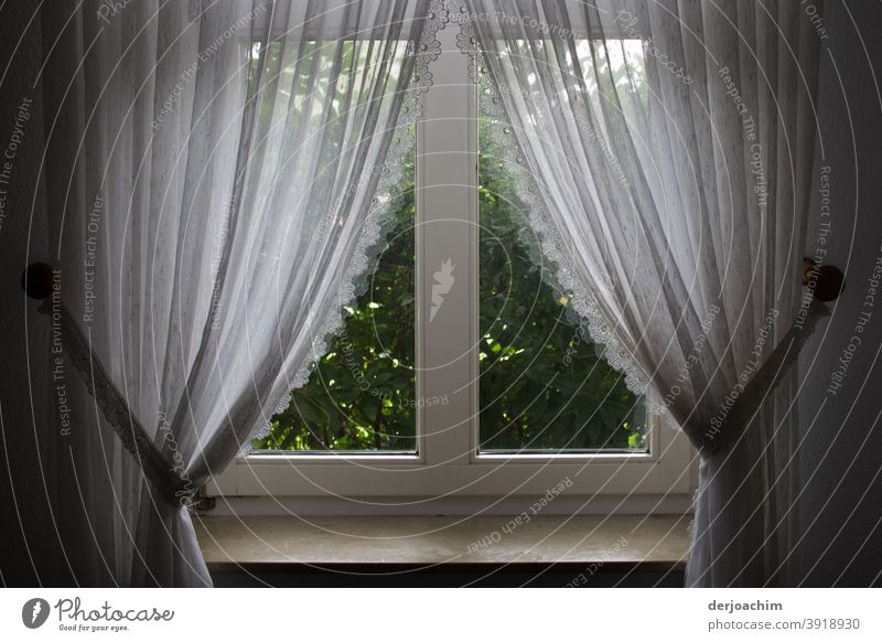 Weiße hübsche Gardinen mit Schlaufenband   . Dekoration und Fenster Verzierung. Vor dem Fenster steht eine grüne Hecke . Stoff Licht Farbfoto Schatten Vorhang