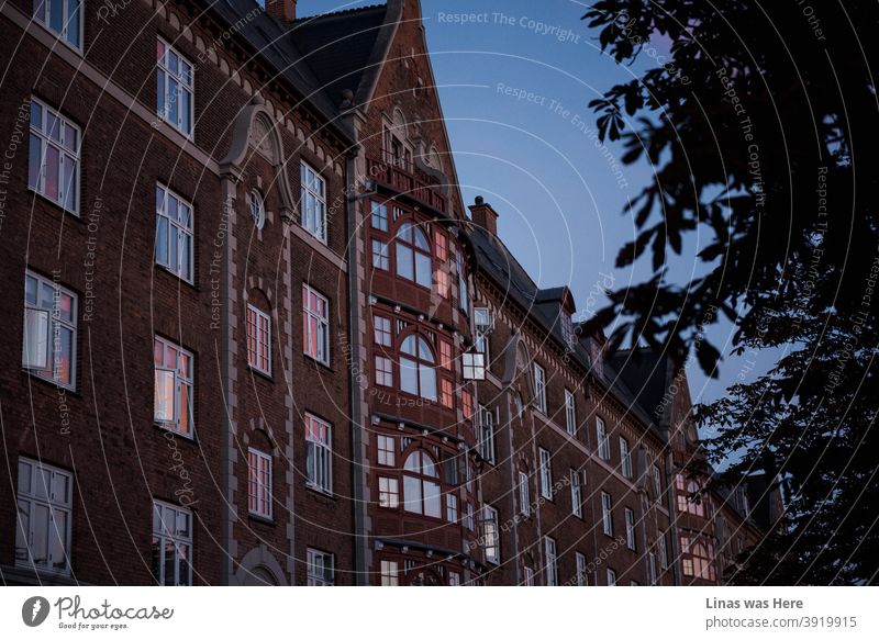 Es ist immer eine gute Idee, Kopenhagen, Dänemark, zu besuchen. Ich habe es geschafft, die Schönheit seiner Altstadt am Sommerabend einzufangen. Atemberaubende Architektur und Stadt Vibes gibt Ihnen den perfekten Urlaub.
