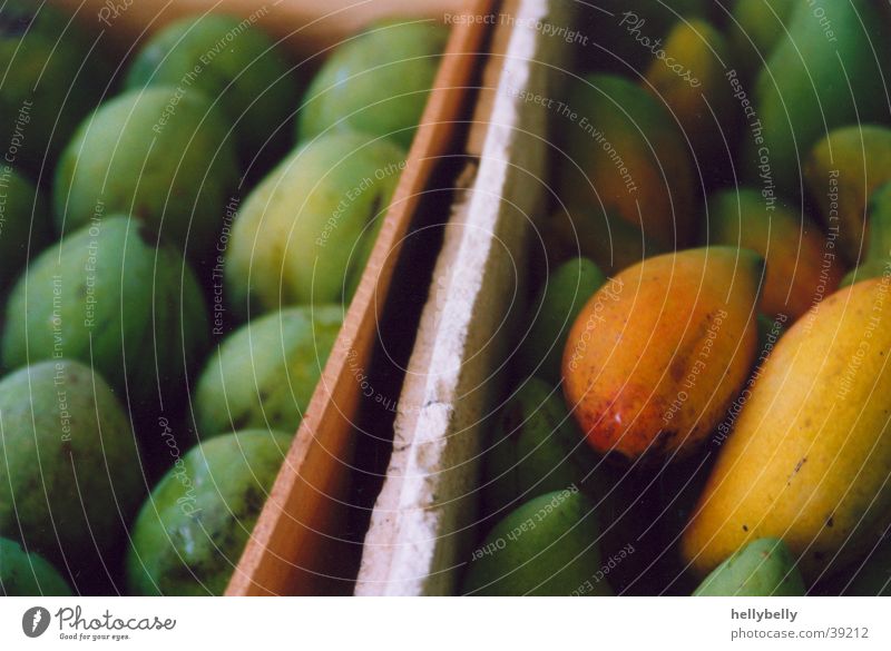 mangos Mango Gesundheit Frucht Südfrüchte
