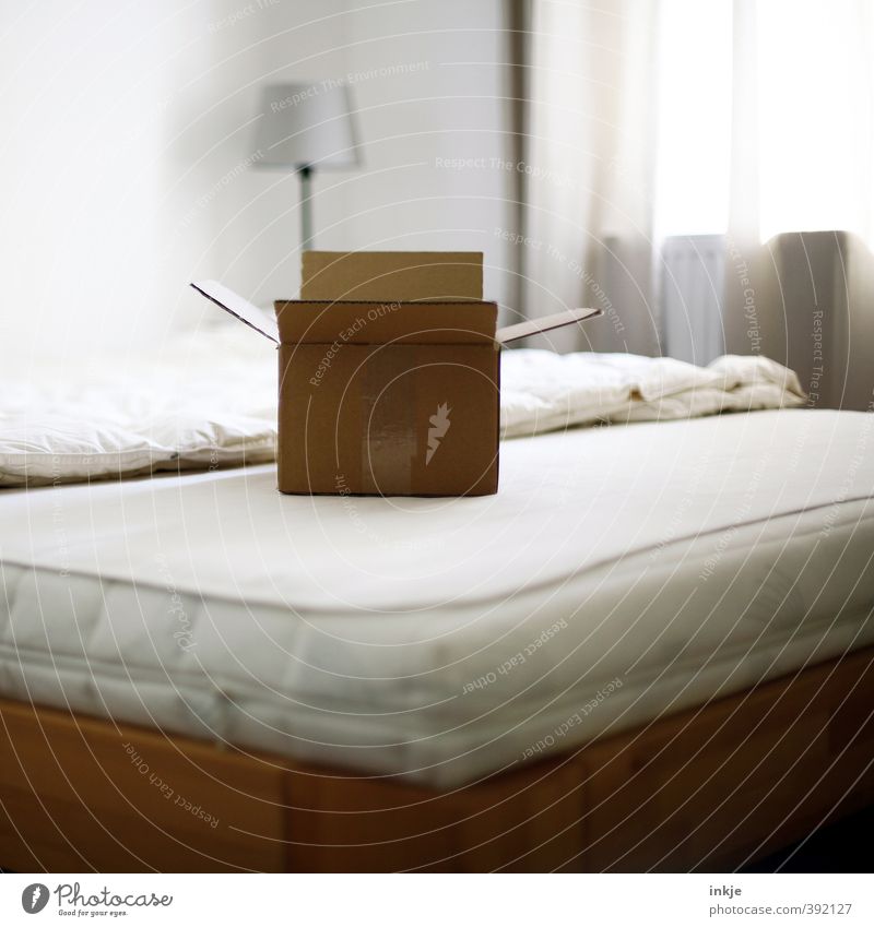 Neugier... Lifestyle Häusliches Leben Umzug (Wohnungswechsel) einrichten Lampe Bett Raum Schlafzimmer Vorhang Menschenleer Verpackung Paket Karton Pappschachtel