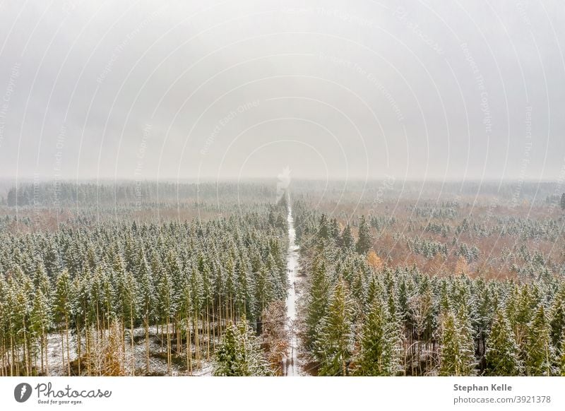 Verschneiter und gefrorener Winter von oben, der durch einen weißen Wald führt. Straße Wälder verschneite Antenne Baum Natur Wetter Saison malerisch Landschaft