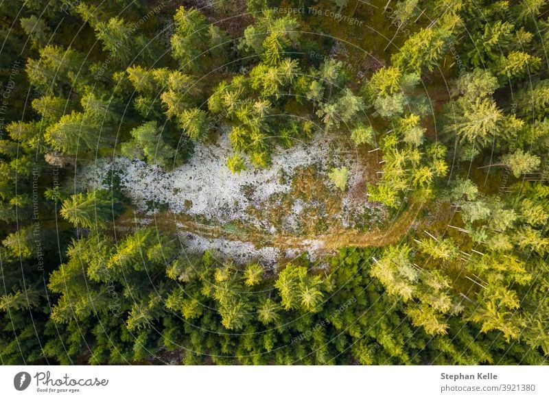 Luftaufnahme eines verschneiten Waldes mit einer kleinen Landstraße. Von oben mit einer Drohne aufgenommen Baum Winter Natur Antenne Kiefer Landschaft im Freien