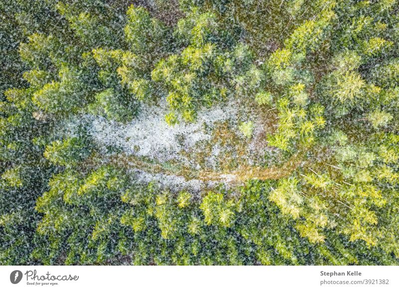 Starker Schneefall über einem Wald mit grünen Bäumen und einer Straße, Luftaufnahme von oben im Winter. Dröhnen Natur Antenne Kiefer Landschaft im Freien Eis
