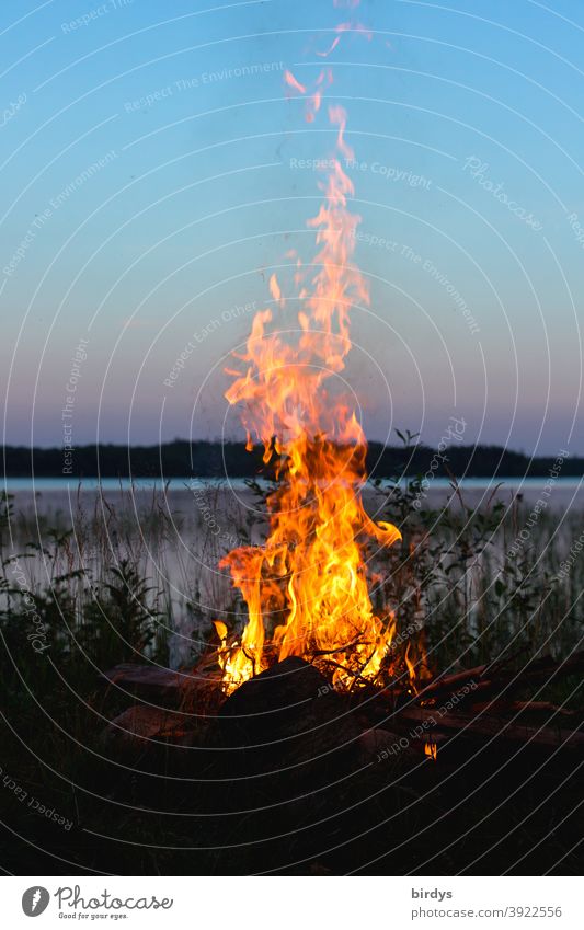 Lagerfeuer am Ufer eines See in der Abendämmerung. outdoor camping Feuer Natur Abenddämmerung Flammen Outdoor Abendhimmel Feuerstelle Wärme brennen Seeufer
