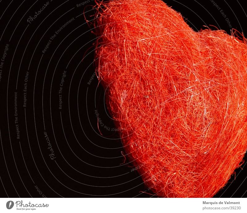 herzklopfen netzartig Valentinstag schwarz rot Liebe Partnerschaft Dekoration & Verzierung Dinge Glückwünsche Herz gebinde Blume Kontrast heart black red
